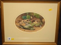Lot 74 - John Sherrin - still-life study of a hedgerow...