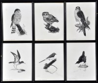 Lot 181 - James Alder - ''Kestrel'', ''Sparrowhawk'',...