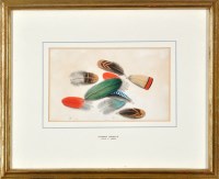 Lot 61 - Thomas Bewick (1753-1828) A STUDY OF BIRD...