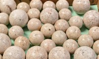 Lot 370 - A collection of polished granite balls, of...