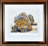 Lot 241 - *After Rolf Harris ''Leopard Watch'' signed in...