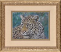 Lot 67 - Joel Kirk (b.1948-) ''STUDY OF A LEOPARD''...