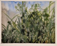 Lot 165 - Rory McEwen (1932-1982) STUDY OF WILD FLOWERS...