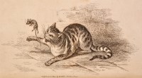 Lot 223 - [Collier (Jane)] An Essay on the Art of...