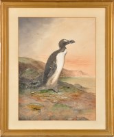 Lot 394 - John Duncan (c.1846- after 1910) ''AN AUK''...