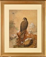 Lot 397 - John Duncan (c.1846- after 1910) ''PEREGRINE''...