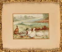 Lot 66 - Early 20th Century British School DUCKS BY A...