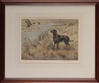 Lot 33 - Henry Wilkinson (1921-2001) A BLACK GUN DOG...
