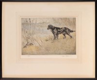 Lot 34 - Henry Wilkinson (1921-2001) A BLACK GUN DOG...