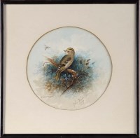 Lot 104 - John Duncan (c.1845-after 1898) A GOLDCREST ON...