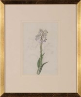 Lot 168 - Style of John Ruskin (1819-1900) A STUDY OF A...