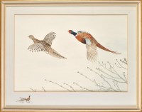 Lot 39 - Martin C*** Naughton (Contemporary) PHEASANTS...