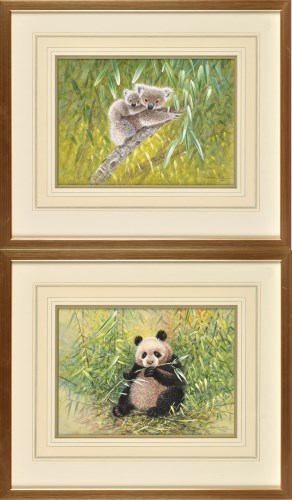 Lot 43 - Warwick Higgs (Contemporary) A PANDA FEEDING...