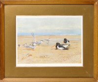 Lot 8 - After Archibald Thorburn (1860-1935) SEA BIRDS...