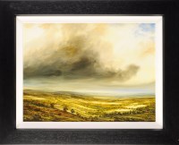 Lot 197 - Harry Brioche (1965-) A CLOUDY SKY OVER A...