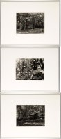 Lot 119 - Clare Fisher ''HOW MANY IS TOO MANY?'', ''TWO...