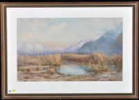 Lot 182 - Charles Jones Way, RCA (1834-1919) Swiss...