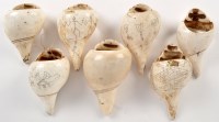 Lot 337 - Seven Naga Tribe conch shell bracelets, four...