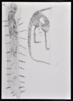 Lot 130 - Philipp Schöpke Untitled 1985 Signed and dated...