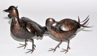 Lot 183 - Shadreck Manasawana of Birdswood, Zimbabwe: a...