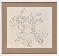 Lot 196 - John Robert Murray McCheyne SCINDAPSUS 1...