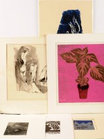 Lot 210 - Clare Nicholas ''COLEUS'' proof signed,...