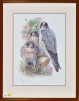 Lot 21 - After James Alder (1920-2007) ''Peregrine...