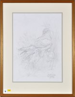 Lot 73 - James Alder (1920-2007) ''Hen Harrier and...