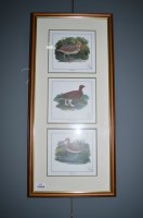 Lot 345A - Six game bird prints after Thomas Bewick,...