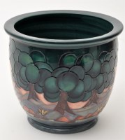 Lot 1102 - Moorcroft: a 'Mamoura' design planter,...