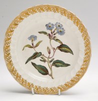 Lot 82 - Derby botanical dish, moulded fan form rim...