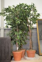 Lot 182 - Three imitation decorative plants in plastic...