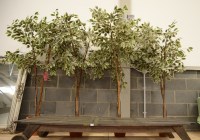 Lot 186 - Four imitation decorative plants with cream...