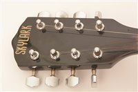 Lot 40 - Banjolele cased/skylark mandolin