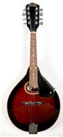 Lot 40 - Banjolele cased/skylark mandolin