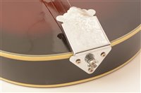 Lot 40 - Banjolele cased/skylark mandolin