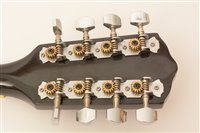 Lot 40 - Banjolele cased/skylark mandolin