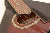 Lot 40 - Banjolele cased/skylark mandolin