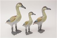 Lot 60 - Carved wooden graduating ducks