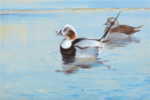 Lot 215 - Archibald Thorburn - watercolour.