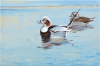 Lot 215 - Archibald Thorburn - watercolour.