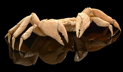 Lot 58 - A late 19th Century marine ivory articulated crab.