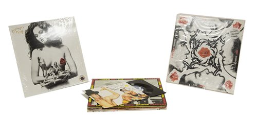Lot 387 - Red Hot Chili Peppers records