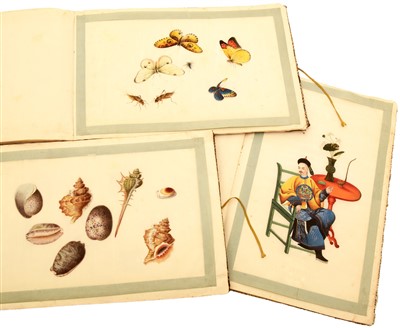 Lot 32 - Three 19th Century Chinese albums of pith paper watercolour and gouache paintings.