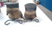 Lot 67 - Two Rowland Ward hooves