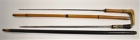 Lot 15 - Two sword sticks