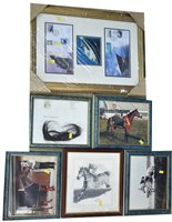 Lot 177 - Red Rum interest