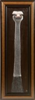 Lot 226 - Johnathan Truss - oil.