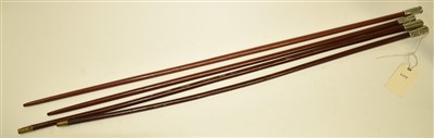 Lot 63 - Four swagger sticks