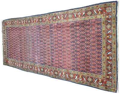 Lot 688 - Malaya runner